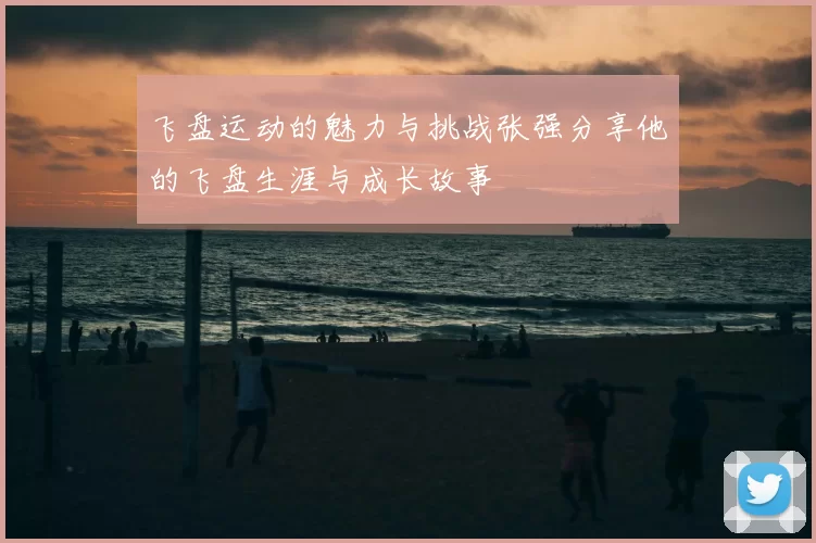 飞盘运动的魅力与挑战张强分享他的飞盘生涯与成长故事