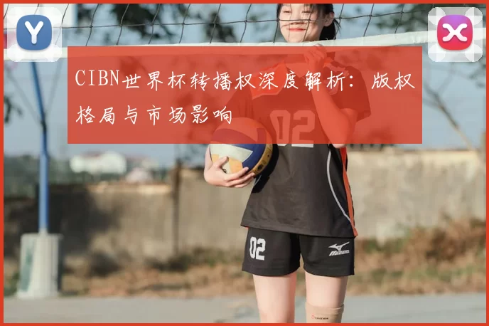 CIBN世界杯转播权深度解析：版权格局与市场影响