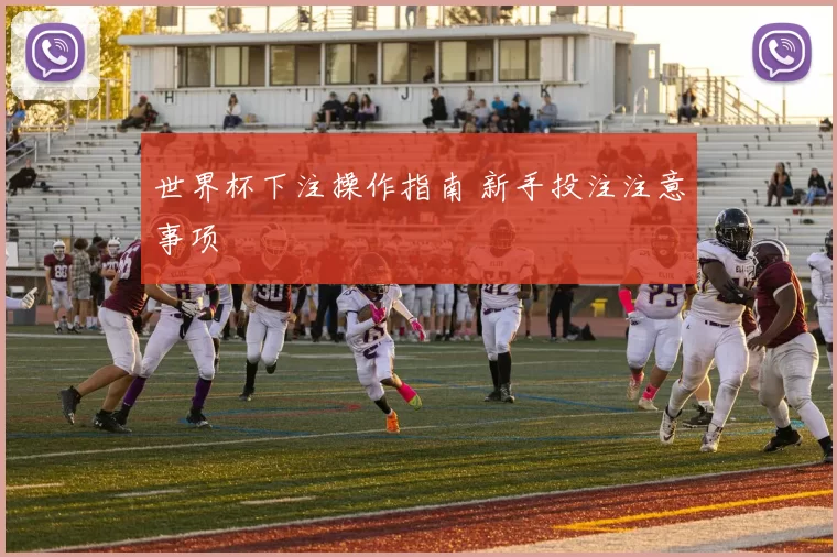 世界杯下注操作指南 新手投注注意事项