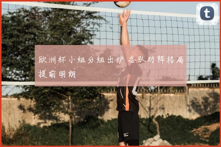 欧洲杯小组分组出炉 各队对阵格局提前明朗