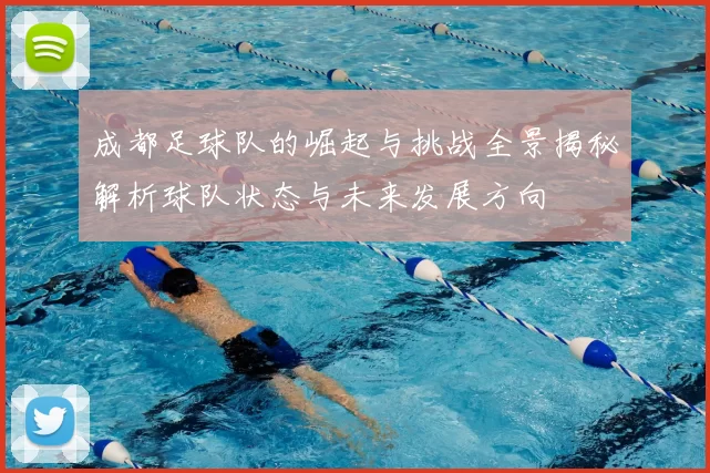 成都足球队的崛起与挑战全景揭秘解析球队状态与未来发展方向