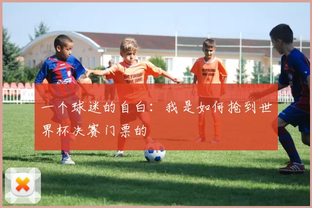 一个球迷的自白：我是如何抢到世界杯决赛门票的