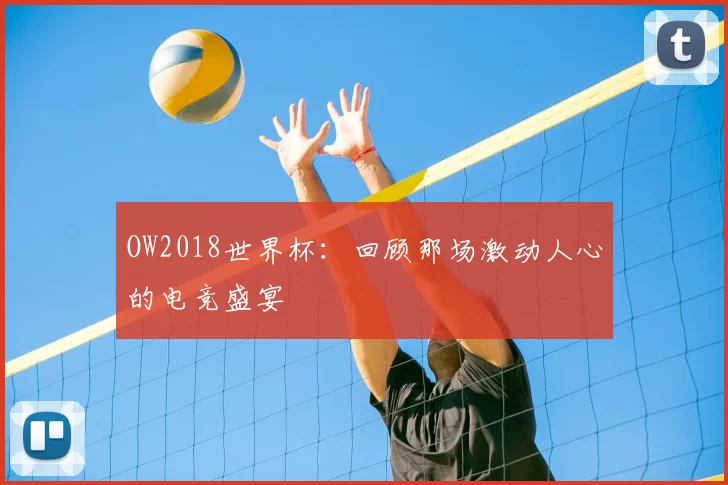 OW2018世界杯：回顾那场激动人心的电竞盛宴