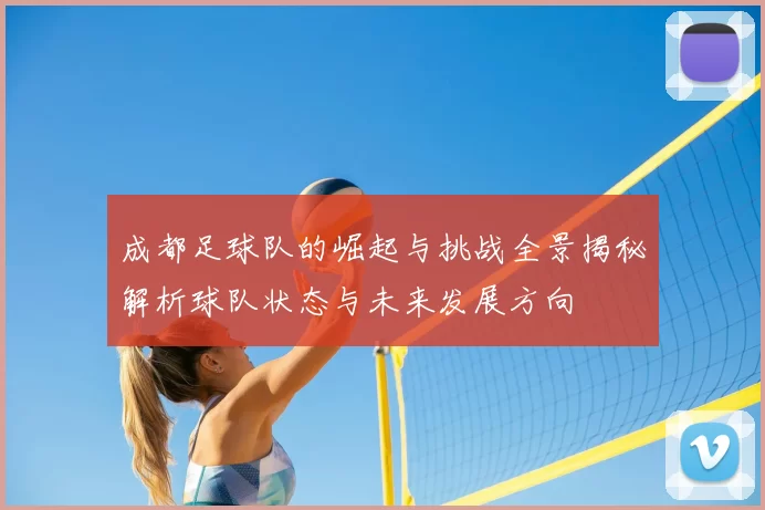 成都足球队的崛起与挑战全景揭秘解析球队状态与未来发展方向