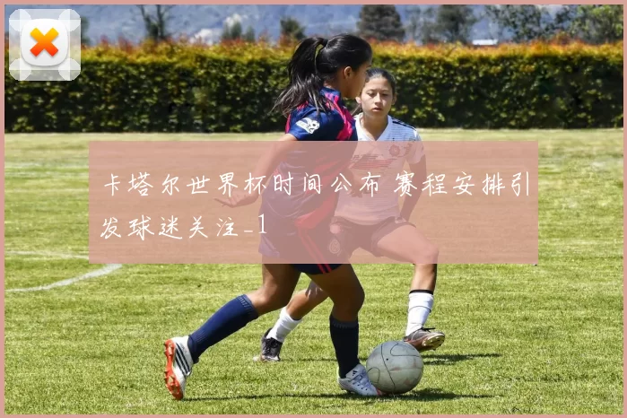 卡塔尔世界杯时间公布 赛程安排引发球迷关注_1